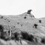 hill