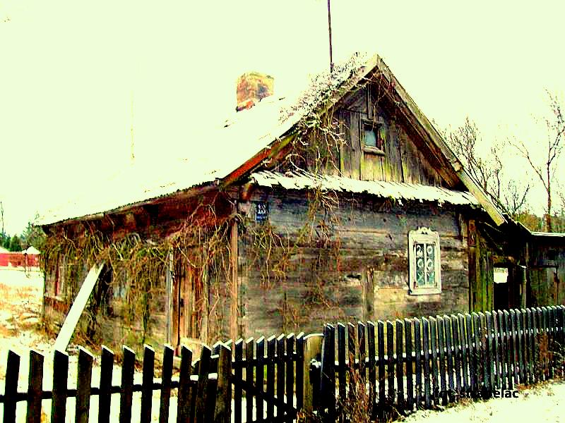 chatka puchatka