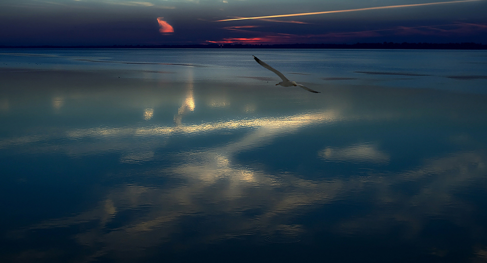 Lost in the humming air...