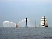 viva cutty sark
