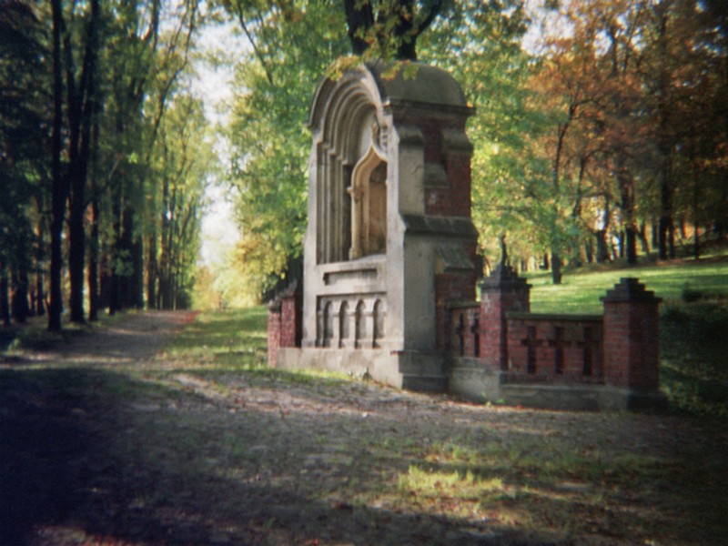 silesia images