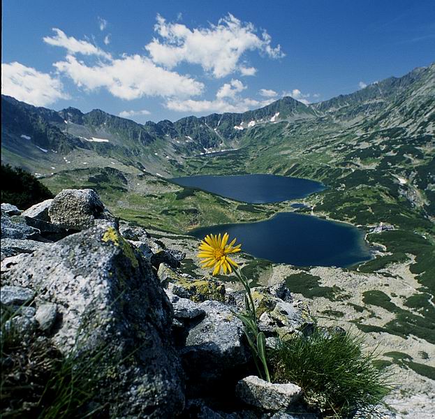 PIATKA