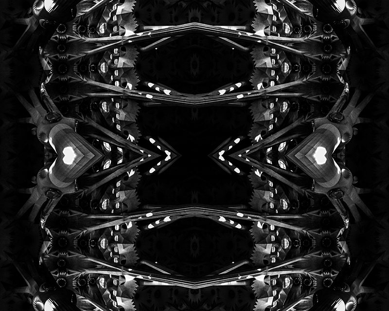 Within The Dark Mind
