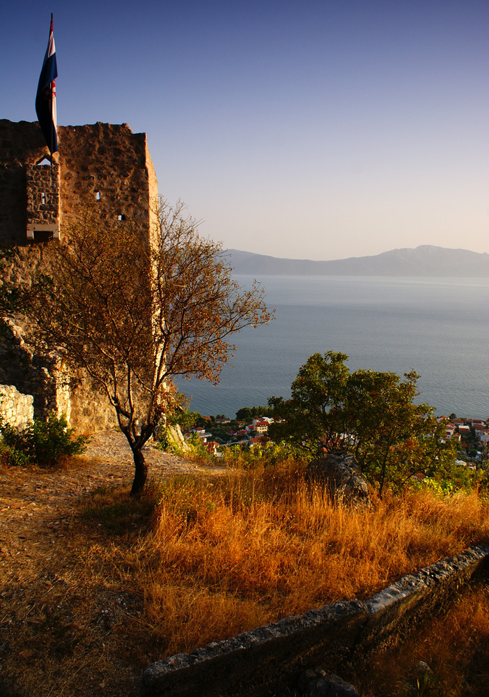 Podaca