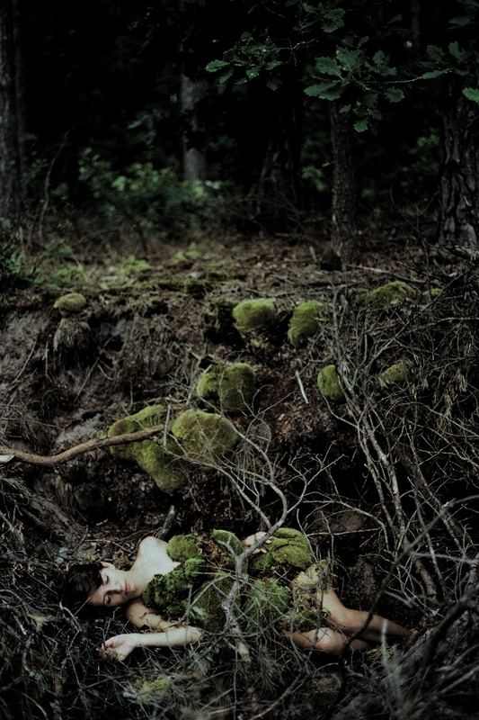 Vertebrae by Vertebrae