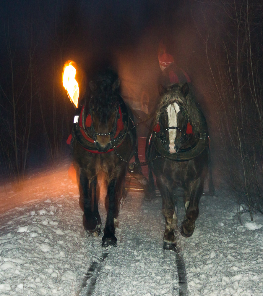 Kulig Brenna 2013