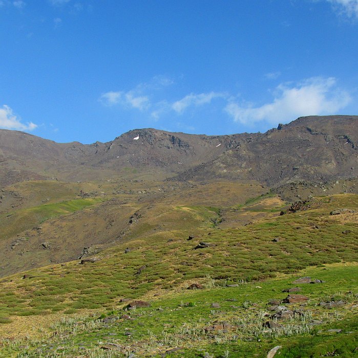 W górach