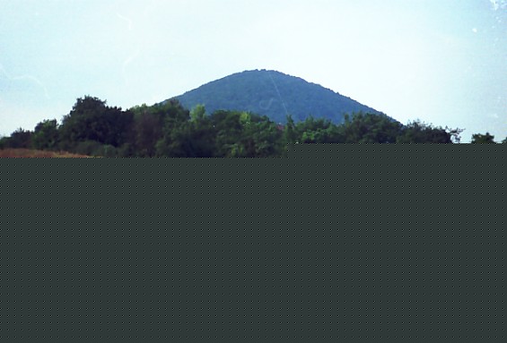 byrcynek