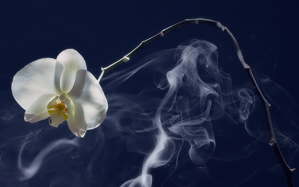 Smoke...