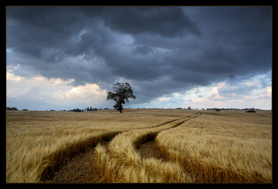 Forces Of Nature...