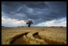 Forces Of Nature...
