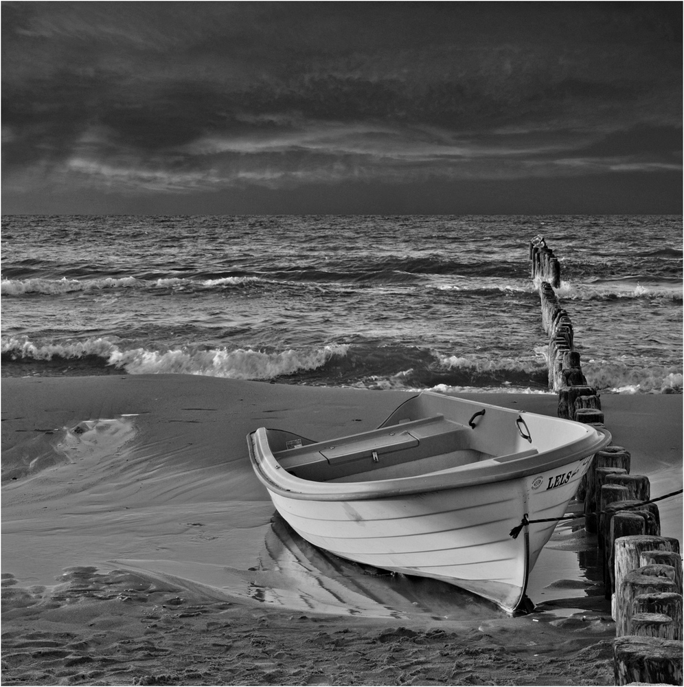 Przed zachodem  (B&W)