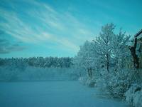 winter-wonderland 01