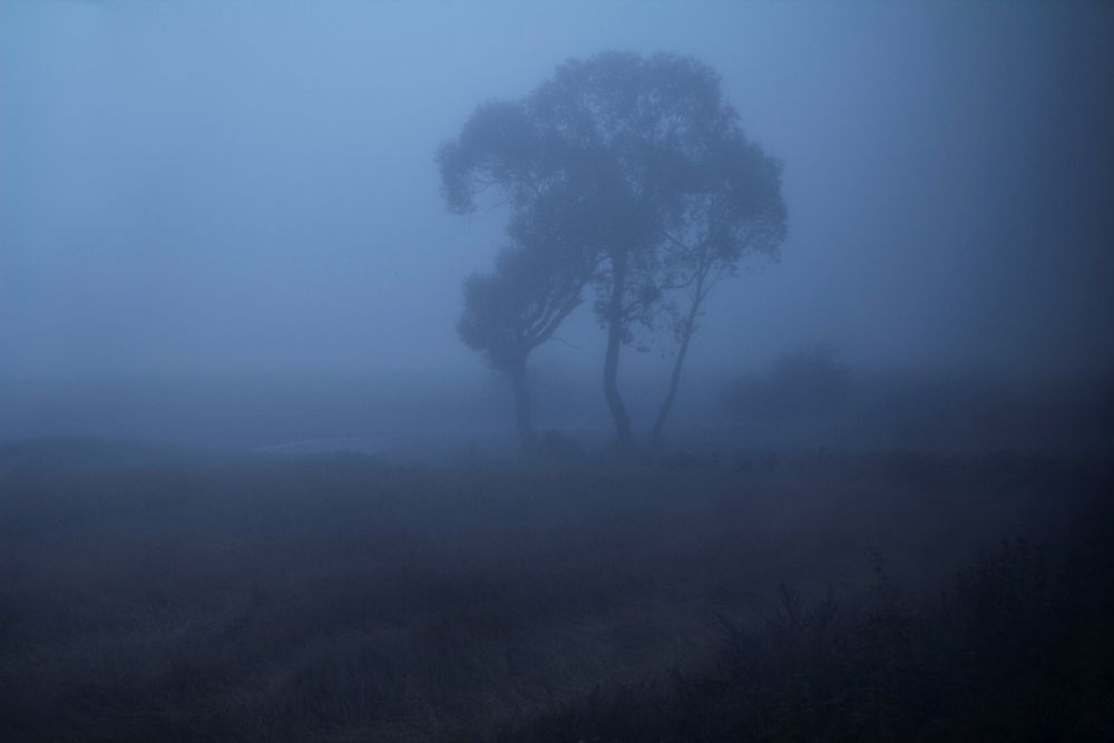 Morning Road