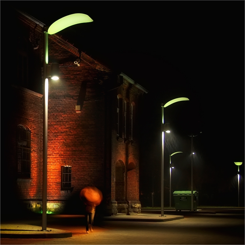 silesian night