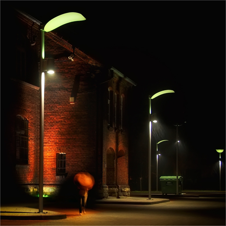 silesian night