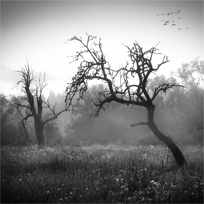silence