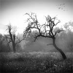 silence