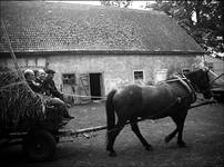 trzech wspaniałych
