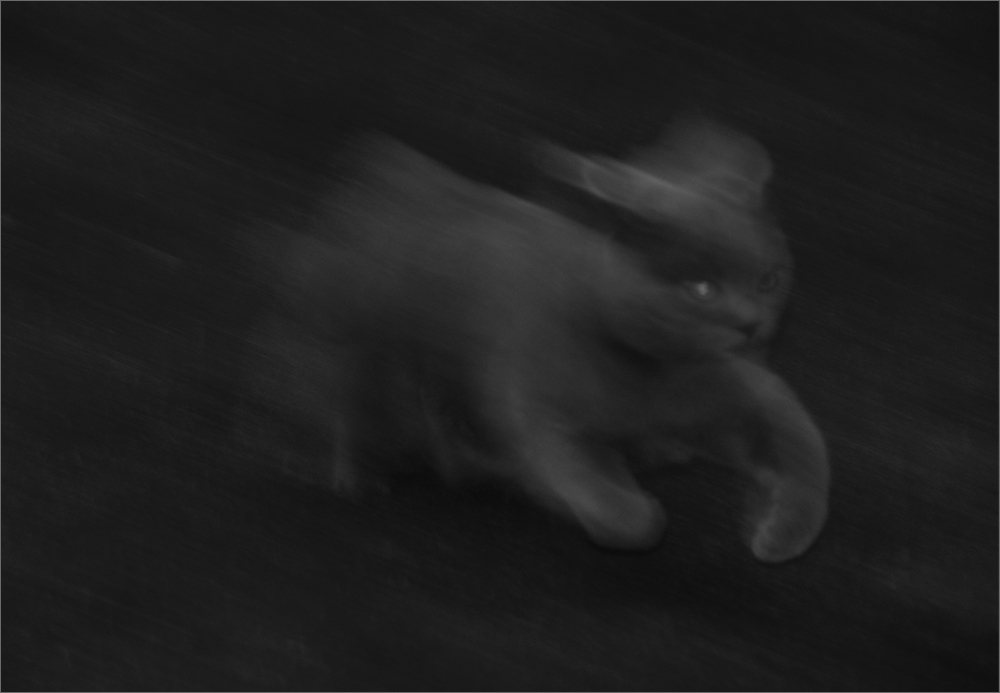 ***