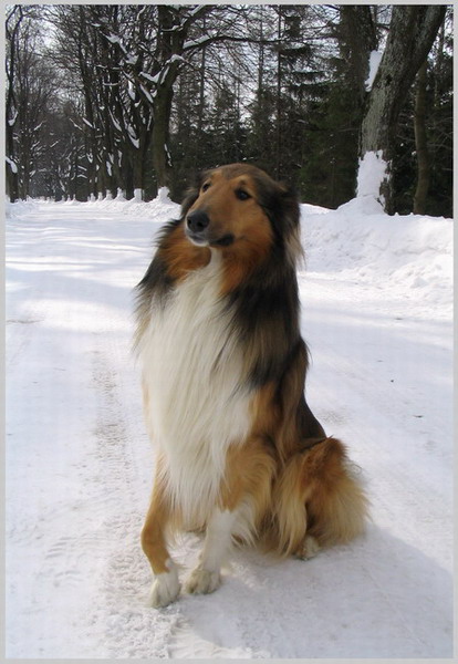 Ruslan
