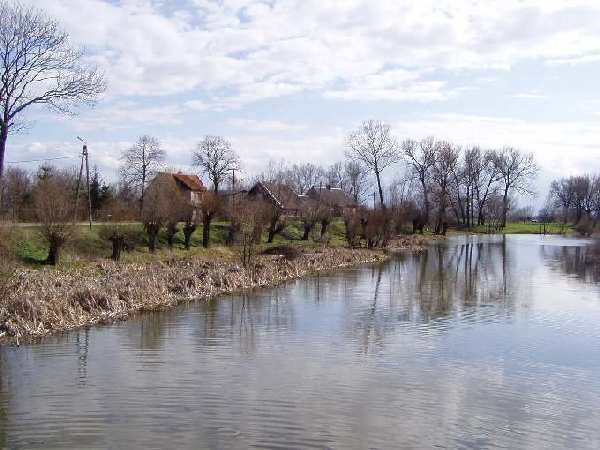 Żuławy-Marzęcino