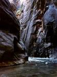 Canyon Narrows, Stan Utah, USA