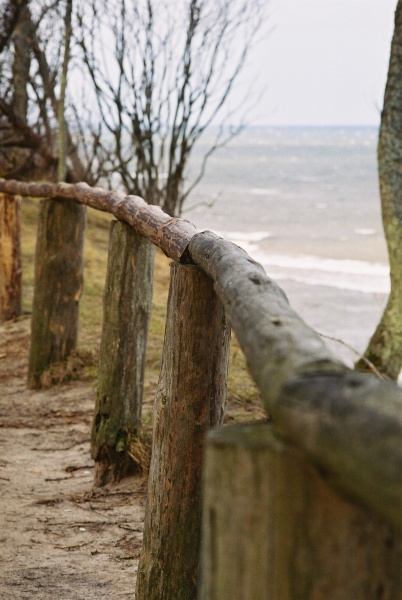 brzeg