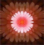 flower power