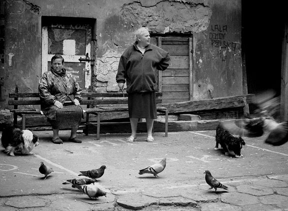 Lejdis & animals...