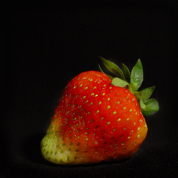 yummy...