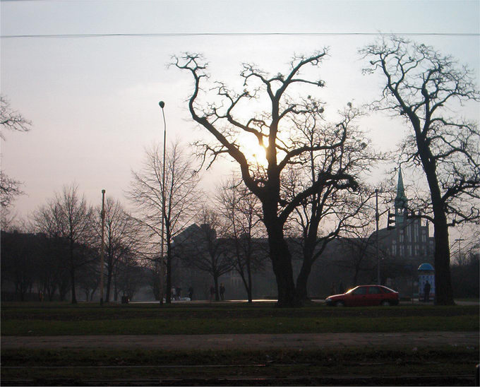 Pustki Szczecina