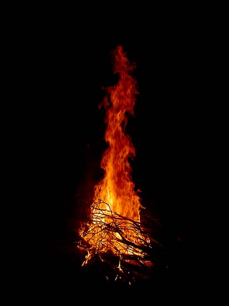 pomarańczowy smok