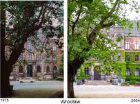 Wrocław - moje miasto. Muzeum Narodowe