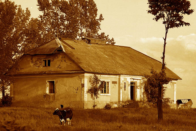 fotomek