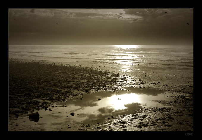 My Baltic Sea...