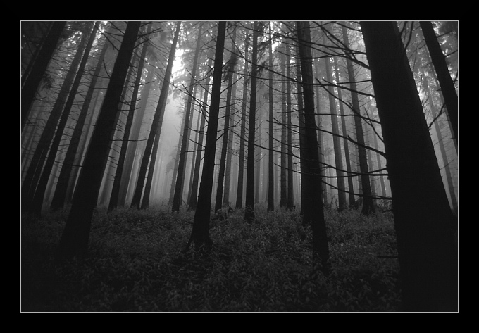 Tatrzański rytm mgieł (2)...