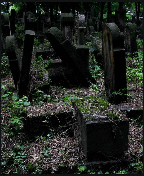 kazimierz V