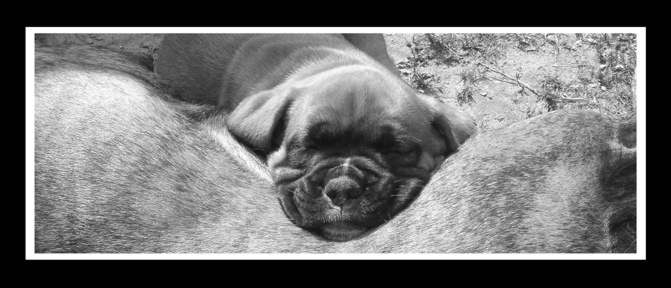 SWEEEEEET SLEEEEEEP