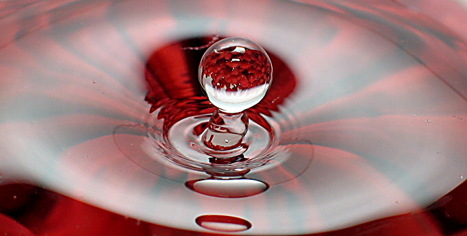 martini k