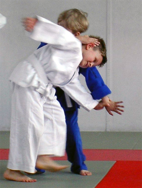 aihanmi katatedori irimi nage...... jakby ktoś nie wiedział :))))