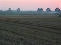 cisza