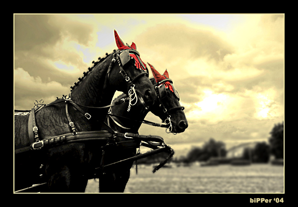 piekielny rydwan...