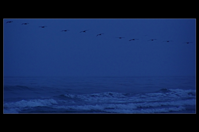 big blue