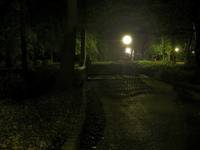 parkowa kładeczka