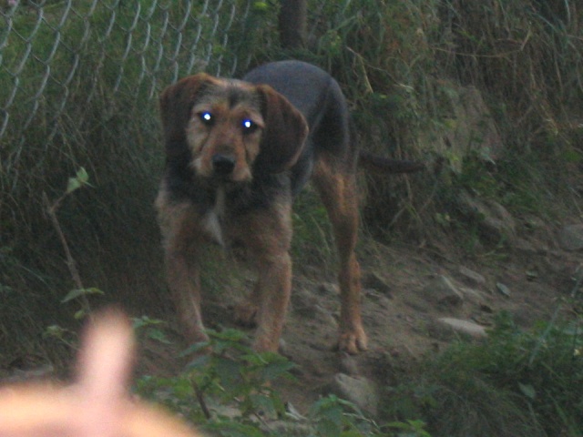 fotomarcin