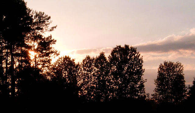 Before sunset
