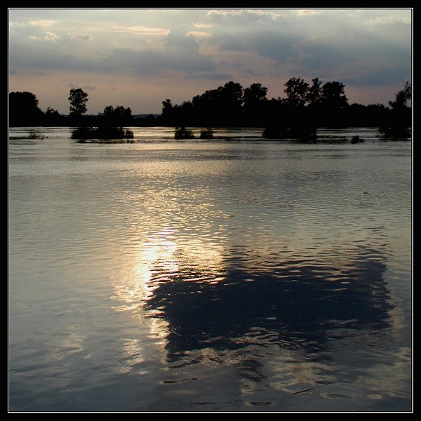 rozlewisko cd