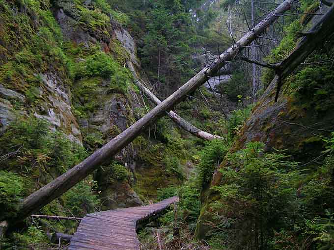 duszka