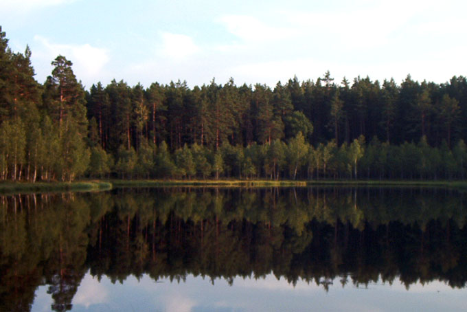 Wnuczek